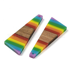 Colgantes de resina y madera de nogal con tema de arcoíris del orgullo&nbsp;WOOD-K012-08A