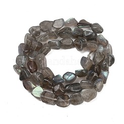 Natur Labradorit Perlen Stränge&nbsp;LS-G-Q060-E20-01