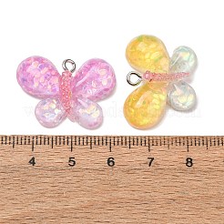 Anhänger aus transparentem Harz und Pailletten&nbsp;RE-CBAFA44-01