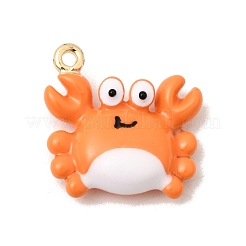 Pendentifs d'émail en alliage&nbsp;FIND-Z119-08G