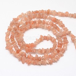 Chips natürliche sunstone Perlen Stränge&nbsp;G-N0164-54