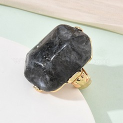 Anillos de labradorita natural y aleación para mujer&nbsp;RJEW-G375-01G-05