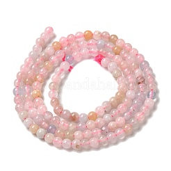 Naturperlen Stränge morganite&nbsp;G-B090-A24-03