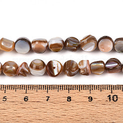 Natürlichen Süßwasser-Muschelperlen Stränge&nbsp;SHEL-T020-28