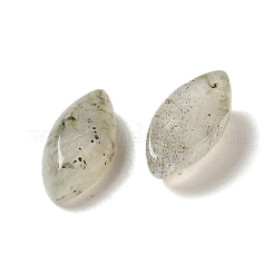 Cabochon di labradorite naturale&nbsp;G-F772-01B-18