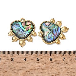 Natur Paua Muschel Anhänger&nbsp;SA-CBA11D7-22B-G