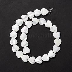 Natürliche Trochidschale / Trochusschalenperlen&nbsp;SSHEL-O001-27D