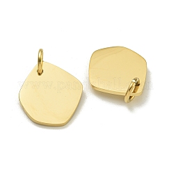 Pendentifs vierges en acier inoxydable 304&nbsp;STAS-L022-428G