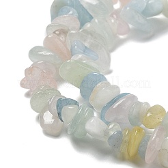 Naturperlen Stränge morganite&nbsp;G-S363-021-01