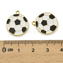 Colgantes de acero inoxidable 304&nbsp;STAS-A118-06A-G