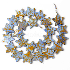 Naturali di acqua dolce perline shell fili&nbsp;SHEL-N026-91
