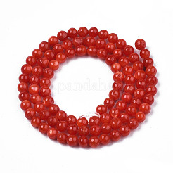 Eau douce naturelle de coquillage perles brins&nbsp;SHEL-N003-24-B05
