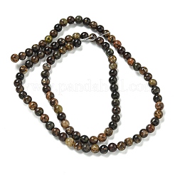 Fili di perle di flogopite naturale&nbsp;G-P546-A01-01