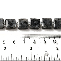 Natürliche Larvikit-Perlenstränge&nbsp;G-L596-A16-01