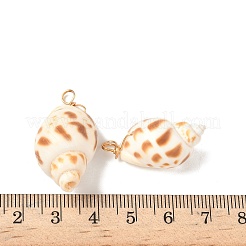 Natürliche Spirale Shell Anhänger&nbsp;PALLOY-JF02949