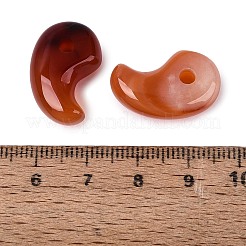 Pendentifs cornaline naturelles teints&nbsp;X-G-S294-07B-08