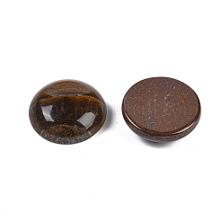 Natürliche Tigereisen-Cabochons&nbsp;G-T020-18mm-31