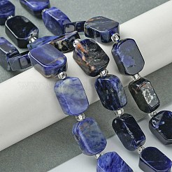 Natur Sodalith Perlen Stränge&nbsp;G-C098-A08-01