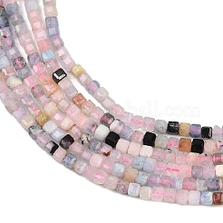 Naturperlen Stränge morganite&nbsp;G-L628-D04-2x2mm