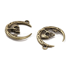 Tibetischer stil Aluminium Anhänger & Charms&nbsp;FIND-C043-010AB