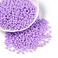 Undurchsichtige Farben Glanz Glas Saatperlen&nbsp;SEED-T006-02D