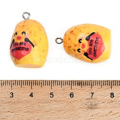 Résine opaque avec pendentifs en alliage&nbsp;RE-CBA08CD-07A