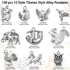 100 pcs 10 pendentifs en alliage de style tibétain&nbsp;TIBEP-CJ0001-34