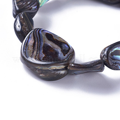 Natürliche Abalone Shell / Paua Shellstretch Armbänder&nbsp;BJEW-F378-01