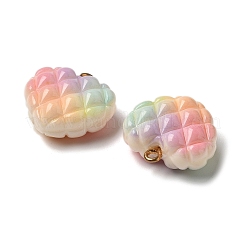 Anhänger aus undurchsichtigen Waffelperlen in Regenbogenfarben&nbsp;RESI-F035-01