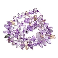 Naturperlen Stränge ametrine&nbsp;G-L649-A09-01