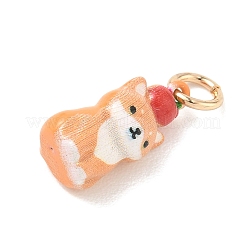 Pendentifs d'émail en laiton &nbsp;LS-KK-CBAE20A-01E-G