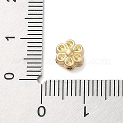 Cremagliera branelli della lega di placcatura&nbsp;FIND-C062-06A-MG