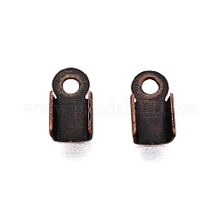Extremos del cable de hierro&nbsp;IFIN-T021-01R