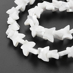 Fili di perle di conchiglia trochid naturale / trochus&nbsp;SHEL-S276-158