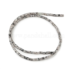 Natürliche Seashaper Perlenstränge&nbsp;G-P600-B11-01