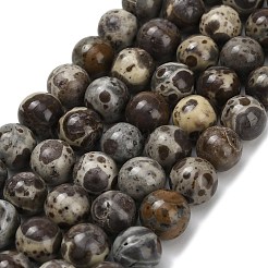 Brins de perles de jaspe astroite naturel&nbsp;G-F814-A01-8mm