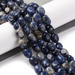 Chapelets de perles en sodalite naturelle&nbsp;G-G146-A03-01