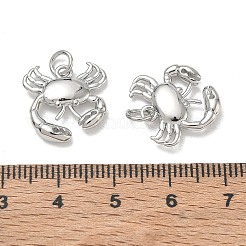 Pendentifs en laiton&nbsp;KK-CBA1AE8-02P