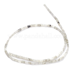 Perline labradorite naturale fili&nbsp;G-C301-03