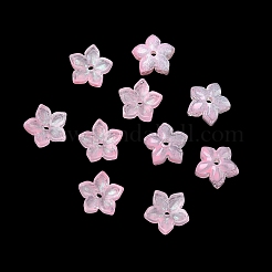 Embouts de perles de verre teints et chauffés&nbsp;X-GLAA-Z019-02
