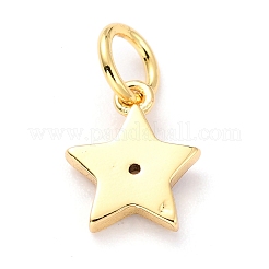 Pendentifs d'émail en laiton &nbsp;KK-M218-10B-RS