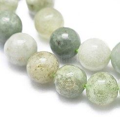 Natürliche myanmarische Jade / burmesische Jade-Perlenstränge&nbsp;G-D0001-08-6mm