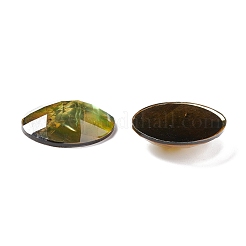 Cabochon conchiglia paua&nbsp;SSHEL-C008-05