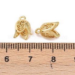 Acumular colgantes de chapado de latón&nbsp;KK-A224-05G-01