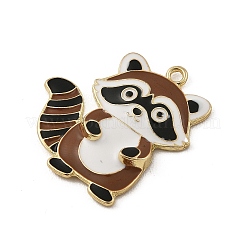 Pendentifs d'émail en alliage&nbsp;FIND-G115-04
