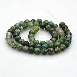Agate mousse naturelle chapelets de perles rondes&nbsp;G-N0120-30-6mm