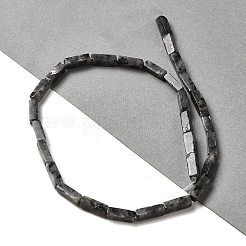 Natürliche Larvikit-Perlenstränge&nbsp;G-G873-A04-01
