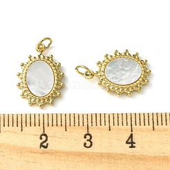Ionenplattierung (IP) 304 Edelstahl Pavé Muschel ovale Charms mit Biegeringen&nbsp;FIND-Z028-13G