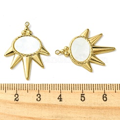 Ionenplattierung (IP) 304 Edelstahl Pavé Muschel Anhänger&nbsp;FIND-Z028-08G