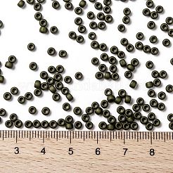 Toho perles de rocaille rondes&nbsp;X-SEED-TR08-0617
